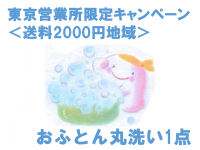 送料2000円【東京(営)限定キャンペーン】ふとん丸洗い 1点